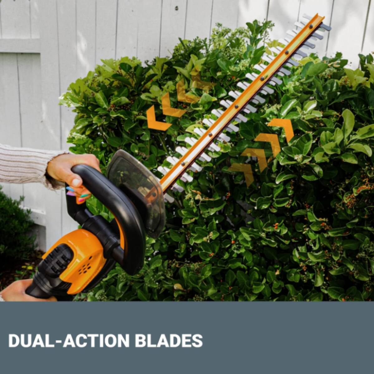 Dual-action blades
