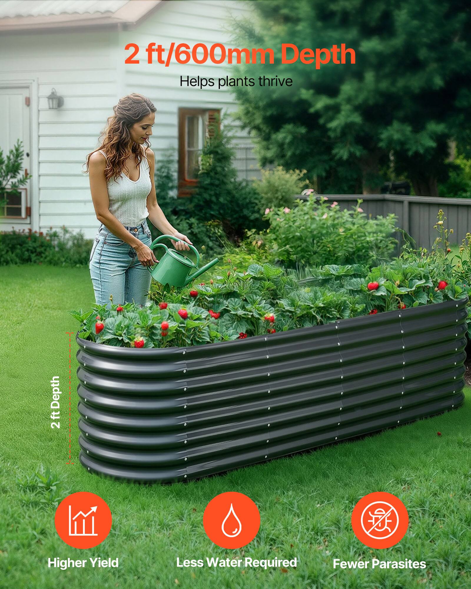 2 ft/600mm Depth  
Helps plants thrive  

Higher Yield  
Less Water Required  
Fewer Parasites