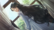 Back. PQube - Iwakura Aria.