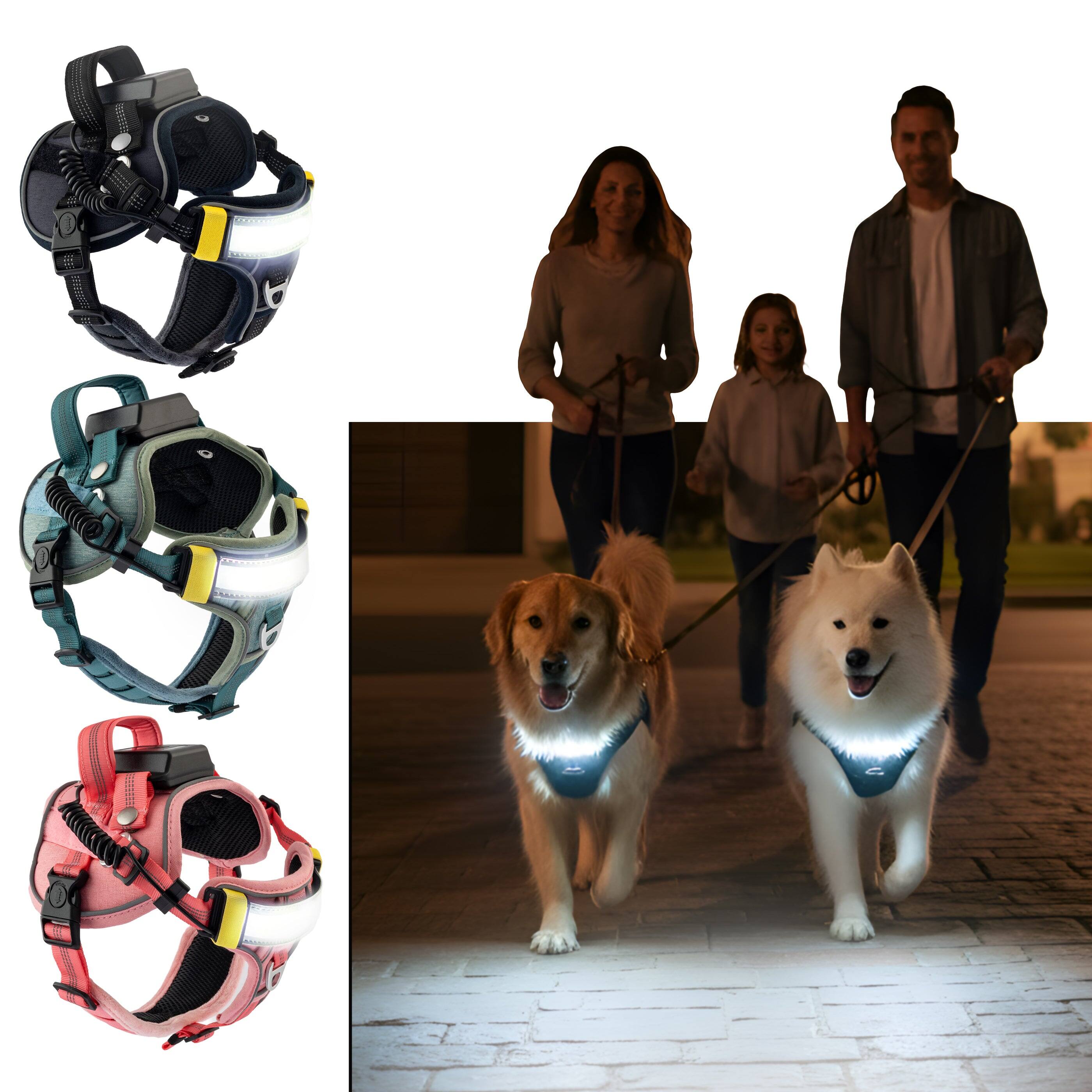 Alt View 4. Lumi Pawtners - Lumi One LED Dog Harness Black - Black.