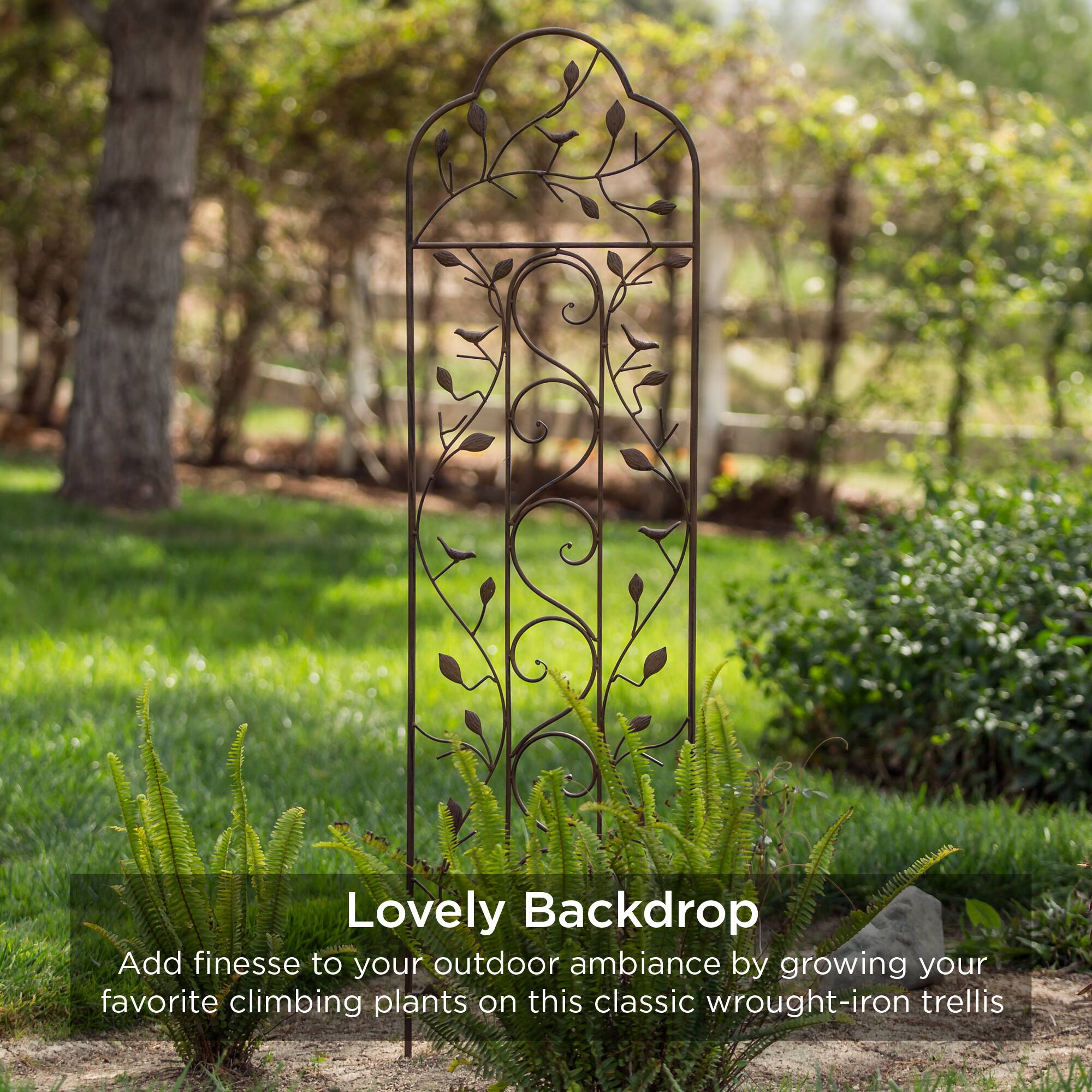 Lovely Backdrop

Add finesse to your outdoor ambiance by growing your favorite climbing plants on this classic wrought-iron trellis.