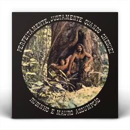 Rubinho E Mauro Assumpcao - Perfeitamente, Justamente Quando Cheguei - VINYL LP
