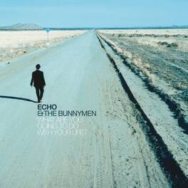 Echo & the Bunnymen - What Are You Going To Do With Your Life: 25th Anniversary Edition - VINYL LP