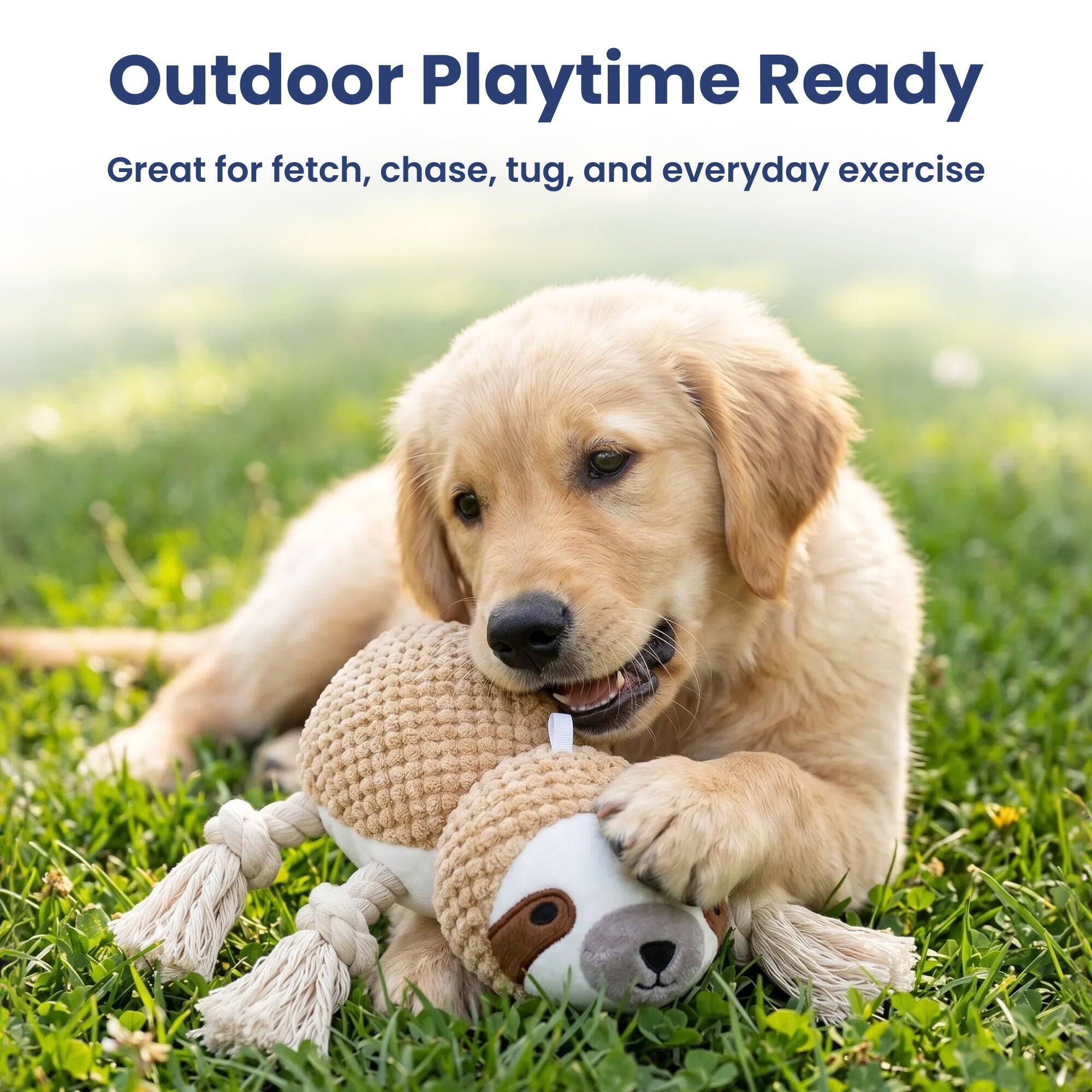 Outdoor Playtime Ready  
Great for fetch, chase, tug, and everyday exercise
