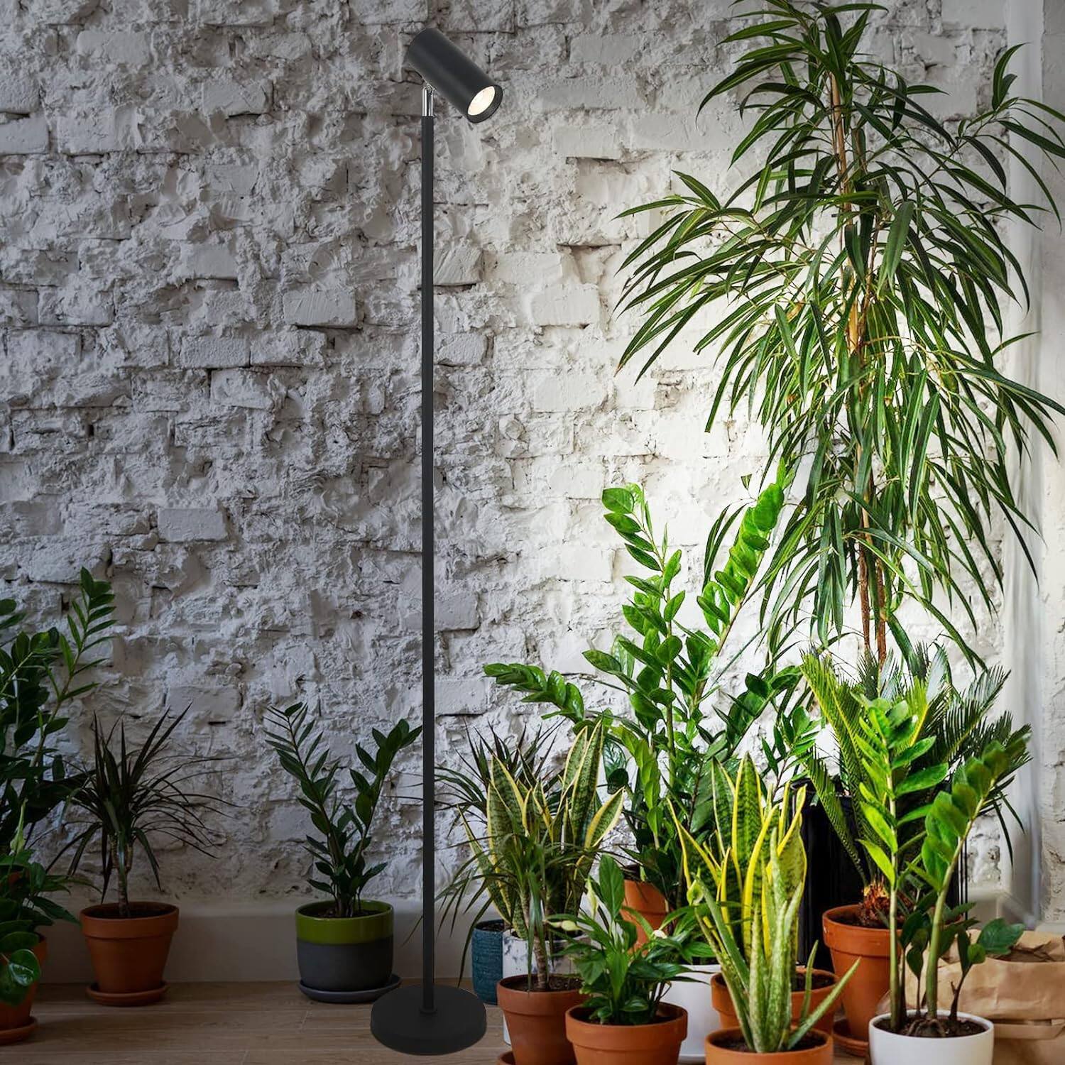 Left. Dexmalle - Dexmalle-Full Spectrum Indoor Plants Grow Floor Lights with 20W COB Plant Light Bulb and Timer-Black.