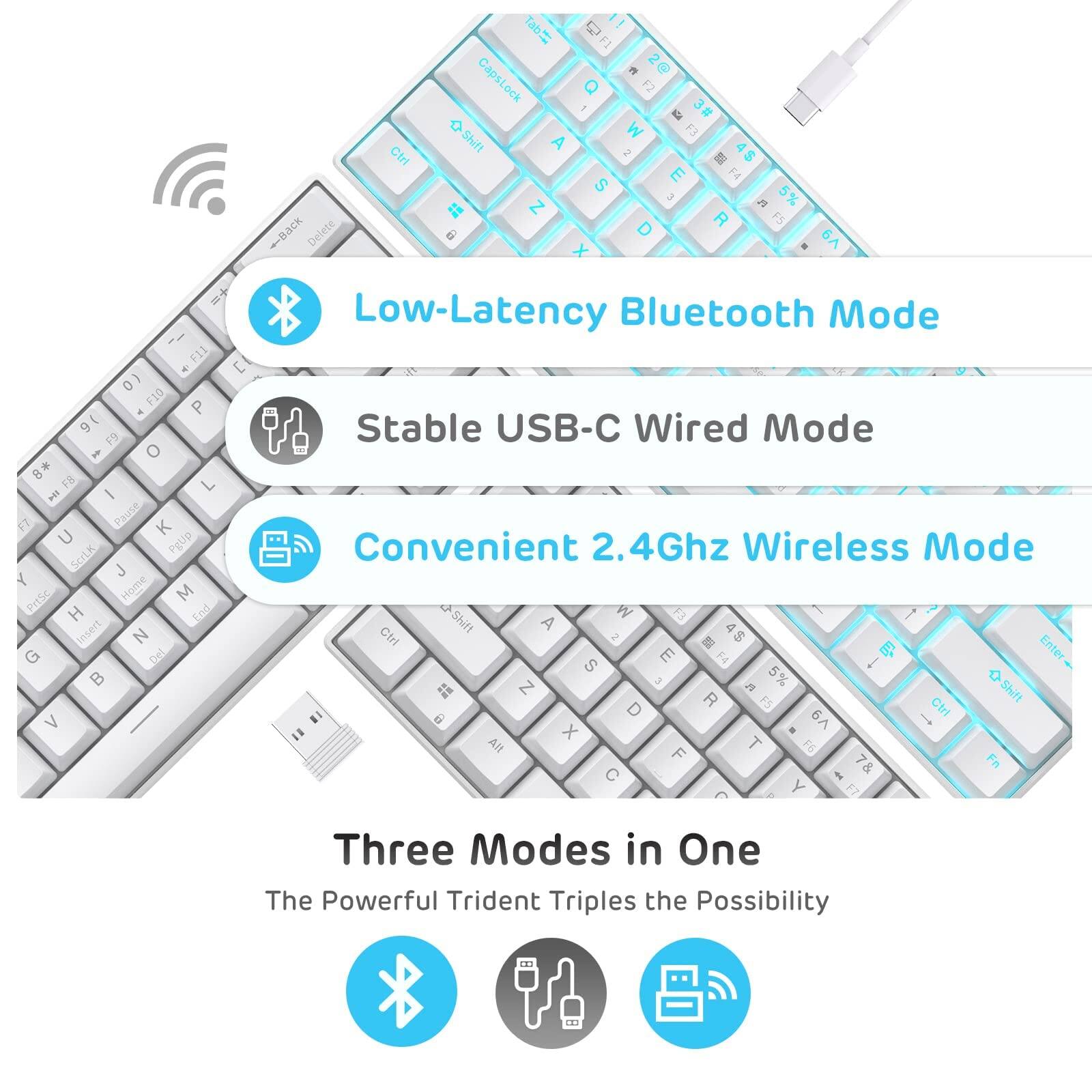 Low-Latency Bluetooth Mode  
Stable USB-C Wired Mode  
Convenient 2.4Ghz Wireless Mode  

Three Modes in One  
The Powerful Trident Triples the Possibility