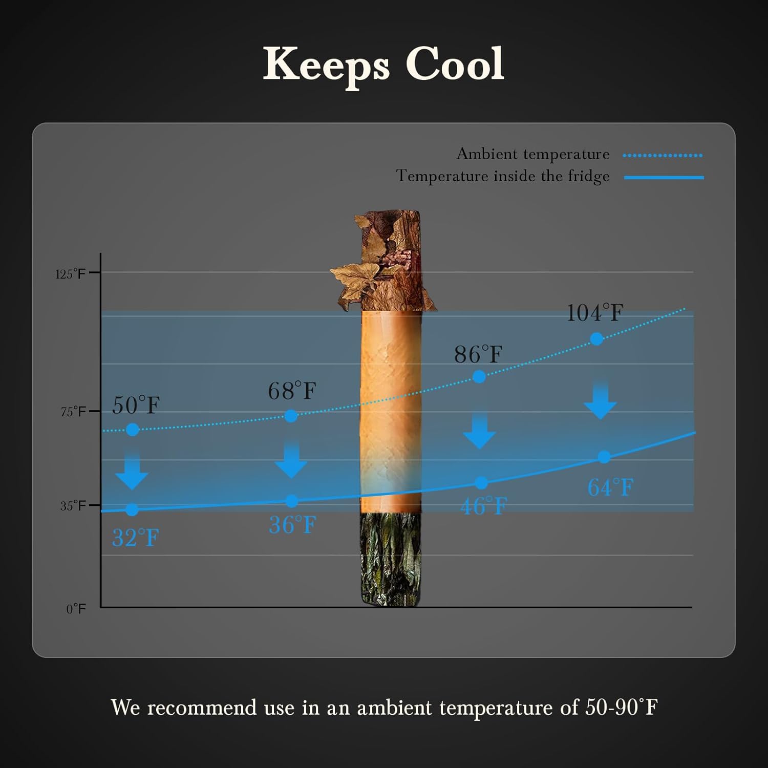 Keeps Cool

Ambient temperature  
Temperature inside the fridge

125°F  
104°F  
86°F  
75°F  
68°F  
64°F  
50°F  
46°F  
36°F  
32°F  
35°F  
0°F

We recommend use in an ambient temperature of 50-90°F