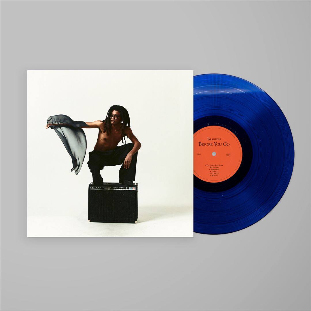 Before You Go [LP] [VINYL] price history on PriceWatchPro