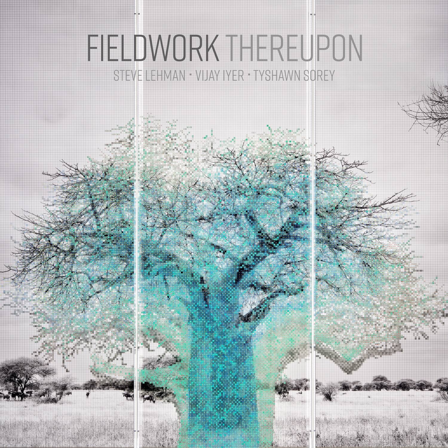 Fieldwork - Thereupon   - COMPACT DISCS [CD] price history on PriceWatchPro
