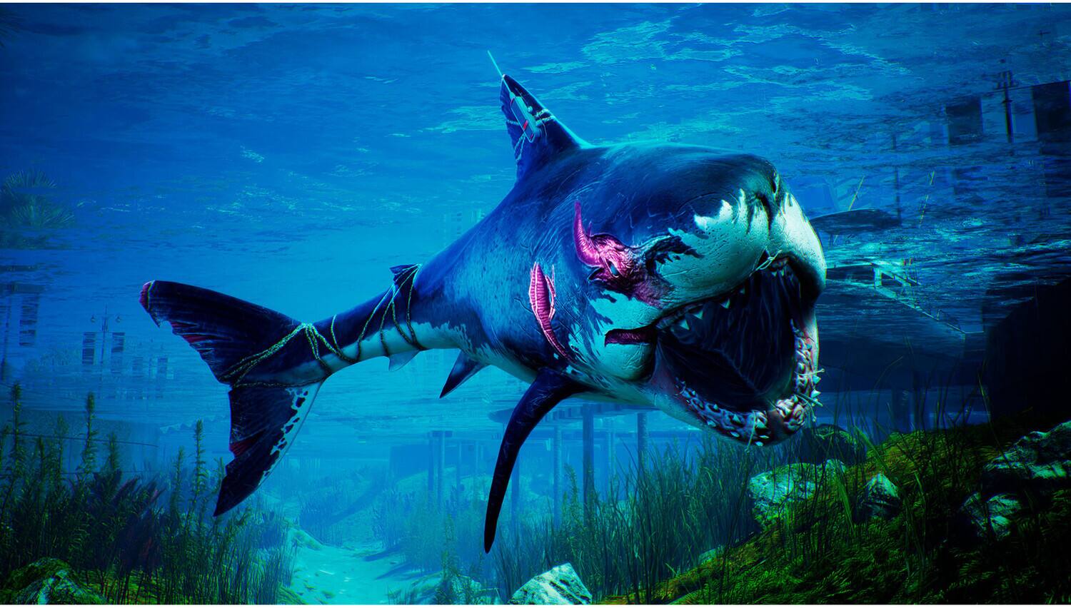 Alt View 1. PLAION - XBox - Maneater for Xbox Series X   - VIDEOGAMES.