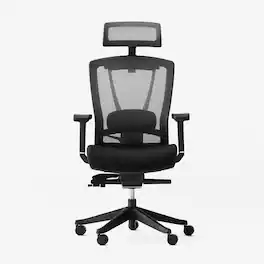 Autonomous - ErgoChair Pro Ergonomic Office Chair - Black and White