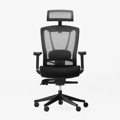 Autonomous ErgoChair Pro Ergonomic Office Chair Black and White