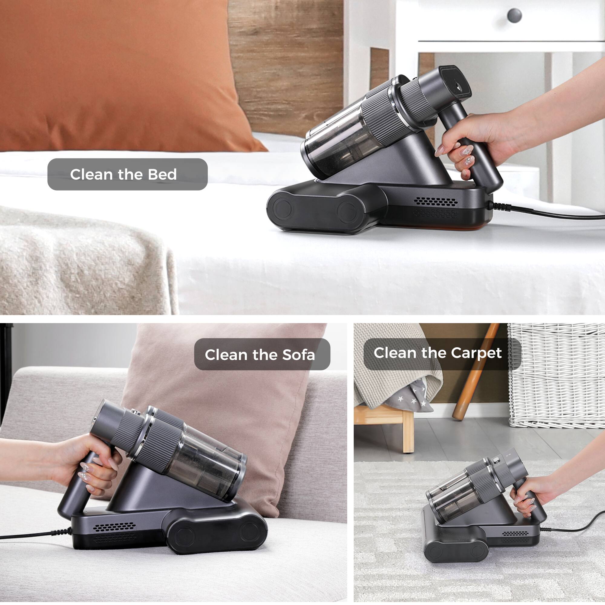 Clean the Bed
Clean the Sofa
Clean the Carpet