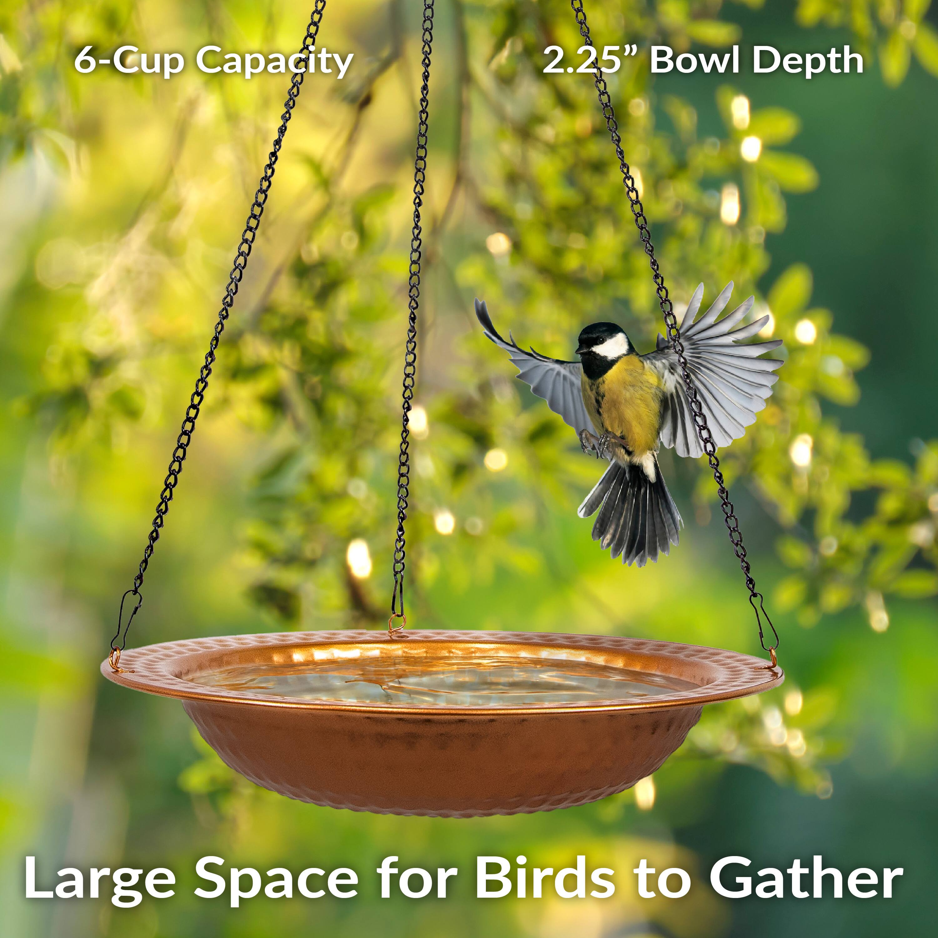 6-Cup Capacity  
2.25" Bowl Depth  
Large Space for Birds to Gather