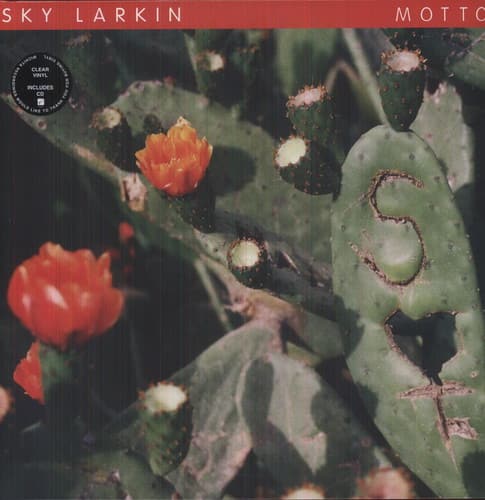 Sky Larkin - Motto   - VINYL LP price history on PriceWatchPro