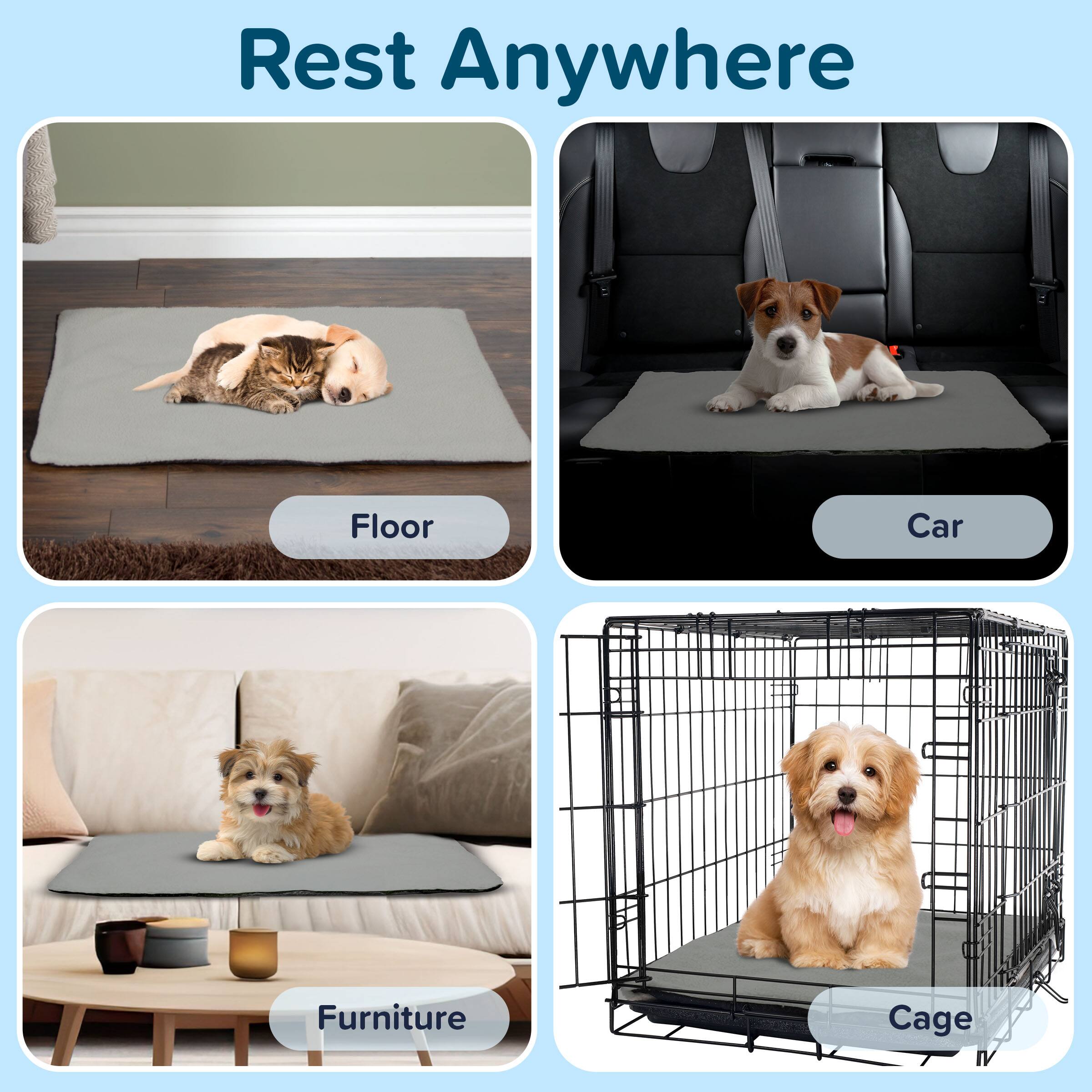 Rest Anywhere

- Floor
- Car
- Furniture
- Cage