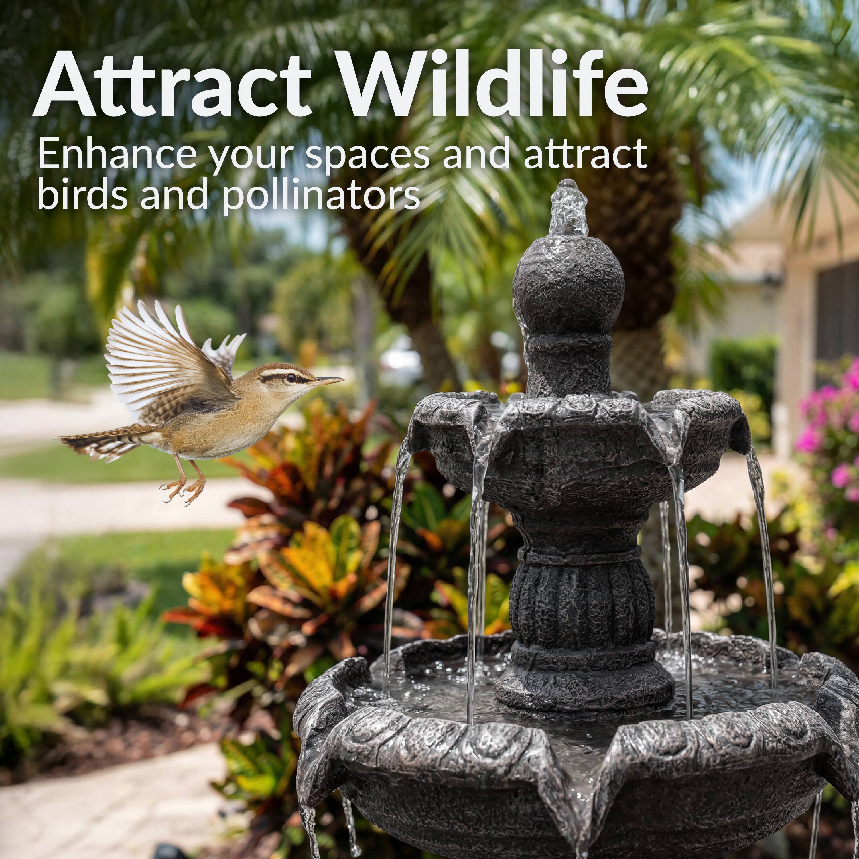 Attract Wildlife  
Enhance your spaces and attract birds and pollinators