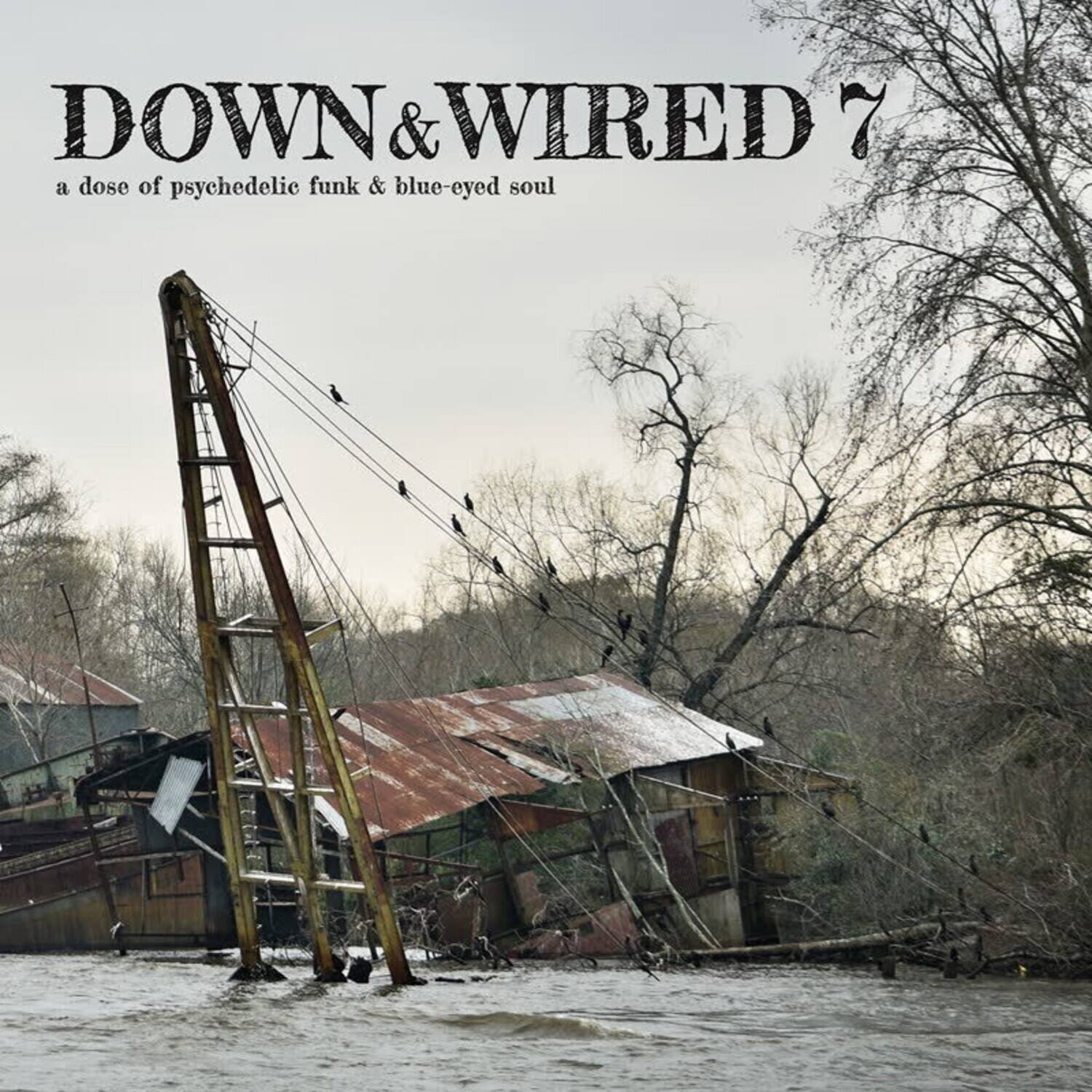 DOWN & WIRED 7  
a dose of psychedelic funk & blue-eyed soul