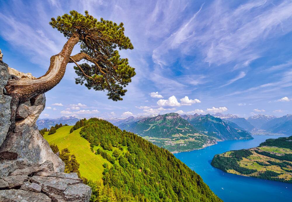 Castorland - 1000 Piece Jigsaw Puzzles, View of the Lake of Uri, Switzerland, Mountain, C-105311-2 - Red price history on PriceWatchPro