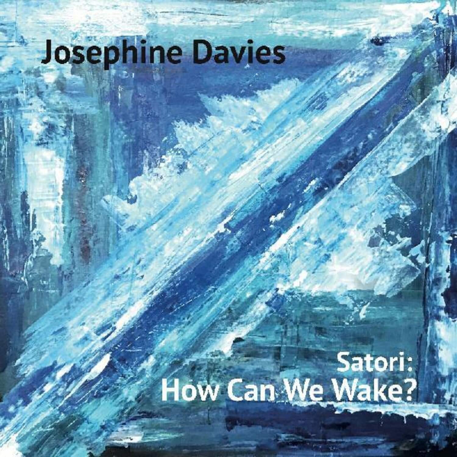 Josephine Davies - Satori: How Can We Wake   - VINYL LP price history on PriceWatchPro