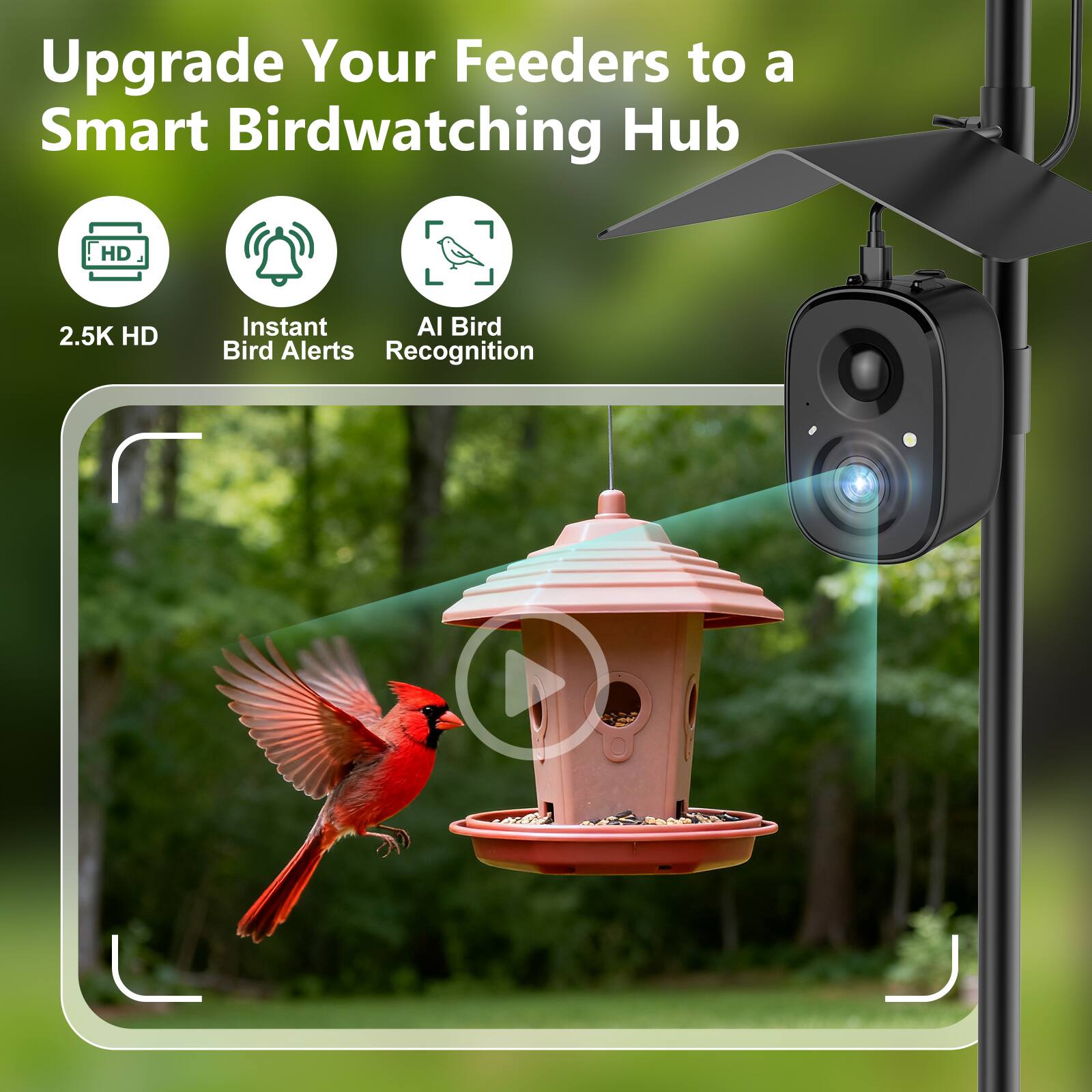 Upgrade Your Feeders to a Smart Birdwatching Hub

- 2.5K HD
- Instant Bird Alerts
- AI Bird Recognition