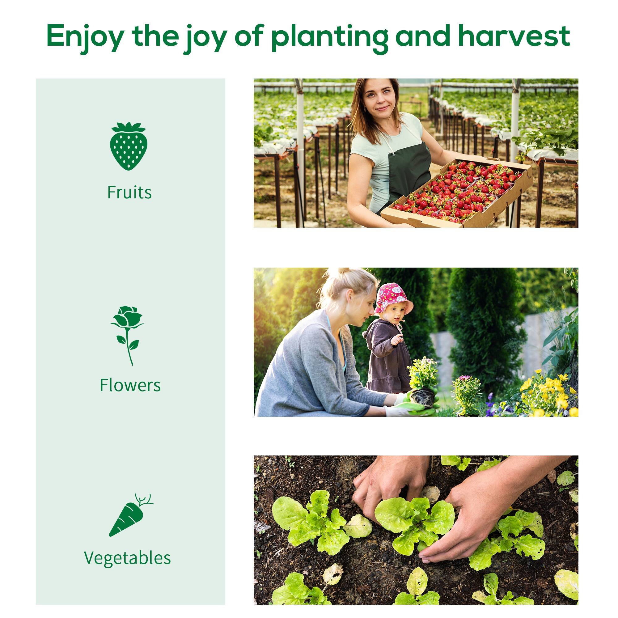 Enjoy the joy of planting and harvest

Fruits
Flowers
Vegetables