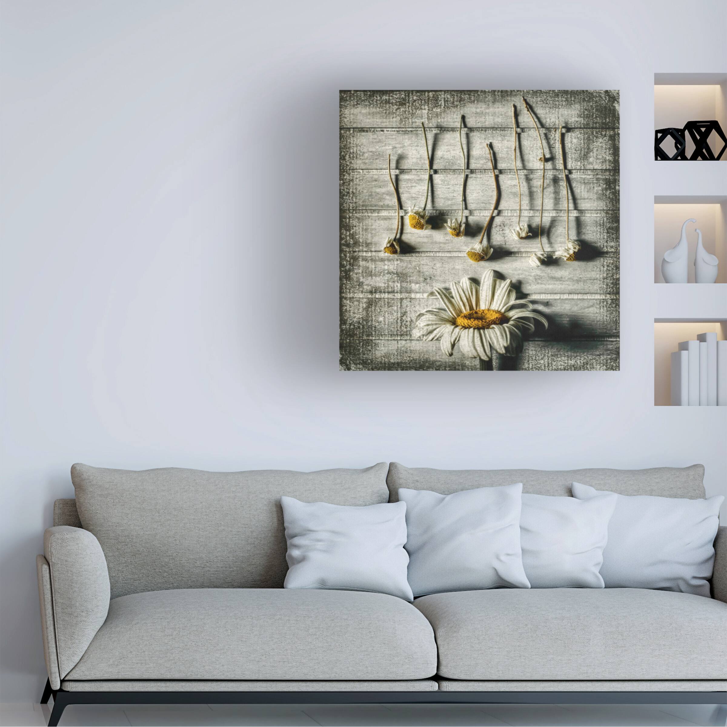 Back. Trademark Fine Art - Jacqueline Van Bijnen Survival Canvas Art - 35 x 35 Inches - 35x35 - Multicolor.