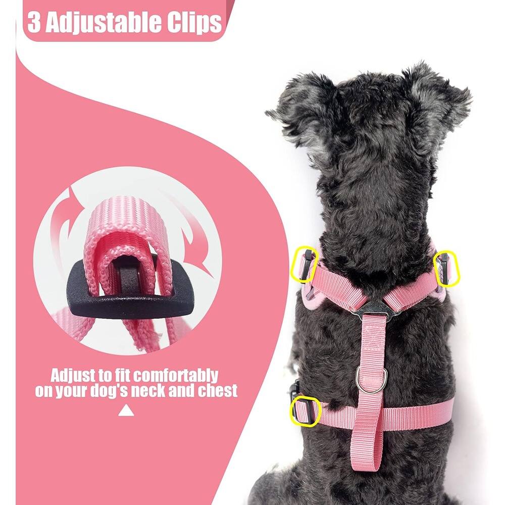 3 Adjustable Clips

Adjust to fit comfortably on your dog's neck and chest