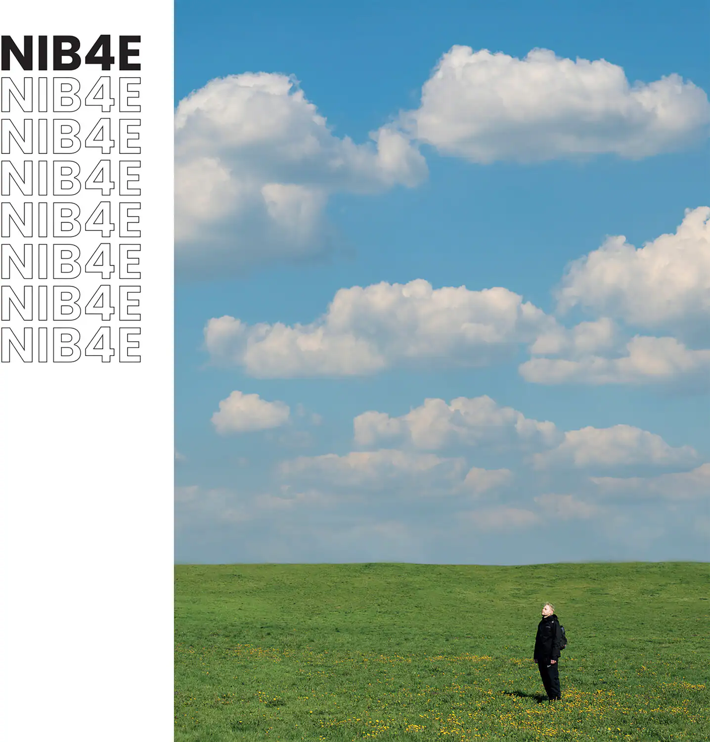 NIB4E  
NIB4E  
NIB4E  
NIB4E  
NIB4E  
NIB4E  
NIB4E  
NIB4E