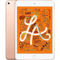 Certified Refurbished - Apple 7.9-Inch iPad Mini (5th Generation) (2019) Wi-Fi + Cellular - 256GB - Gold (Unlocked) - Front_Zoom