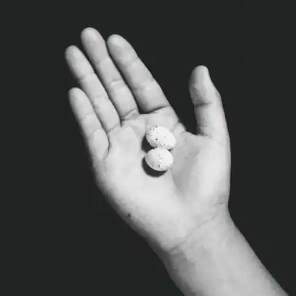 Front. 0 - Umarete Wa Mita Keredo - COMPACT DISCS .