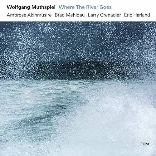 Muthspiel,Wolfgang / Akinmusire,Ambrose / Mehldau - Where The River Goes   - COMPACT DISCS [CD] price history on PriceWatchPro