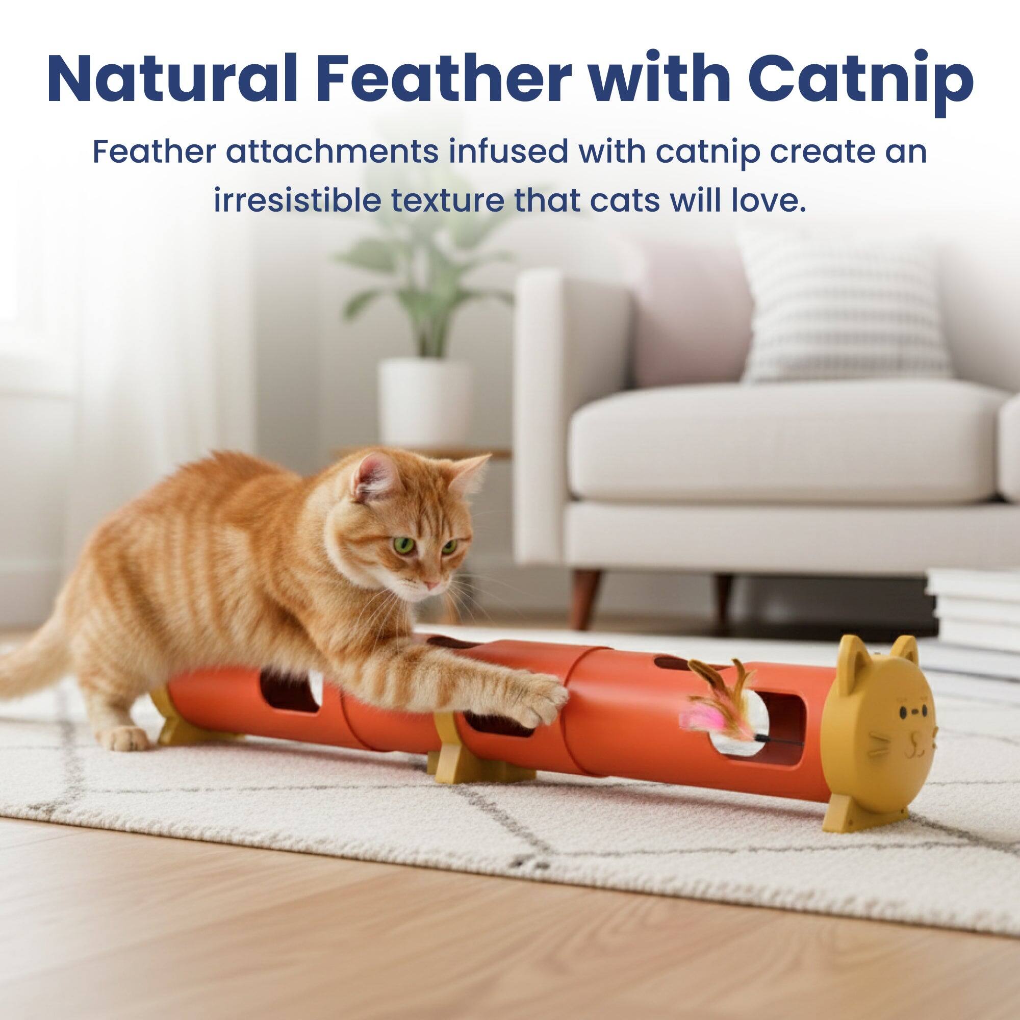 Natural Feather with Catnip

Feather attachments infused with catnip create an irresistible texture that cats will love.