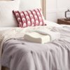 Sealy - Memory Foam Contour Pillow - White and Gray