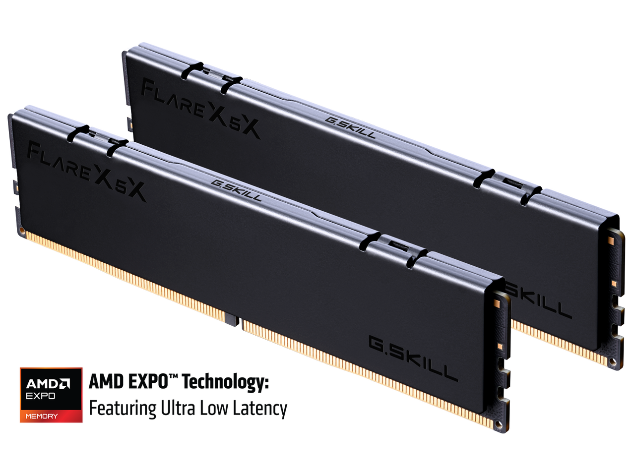 FLAREX5X  
G.SKILL FLAREX5X  
X5X  
G.SKILL  
AMD EXPO MEMORY  
AMD EXPO™ Technology: Featuring Ultra Low Latency  
G.SKILL