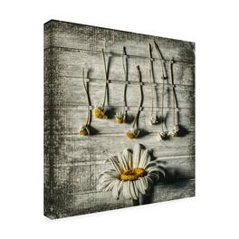 Trademark Fine Art - Jacqueline Van Bijnen Survival Canvas Art - 18 x 18 Inches - 18x18 - Multicolor