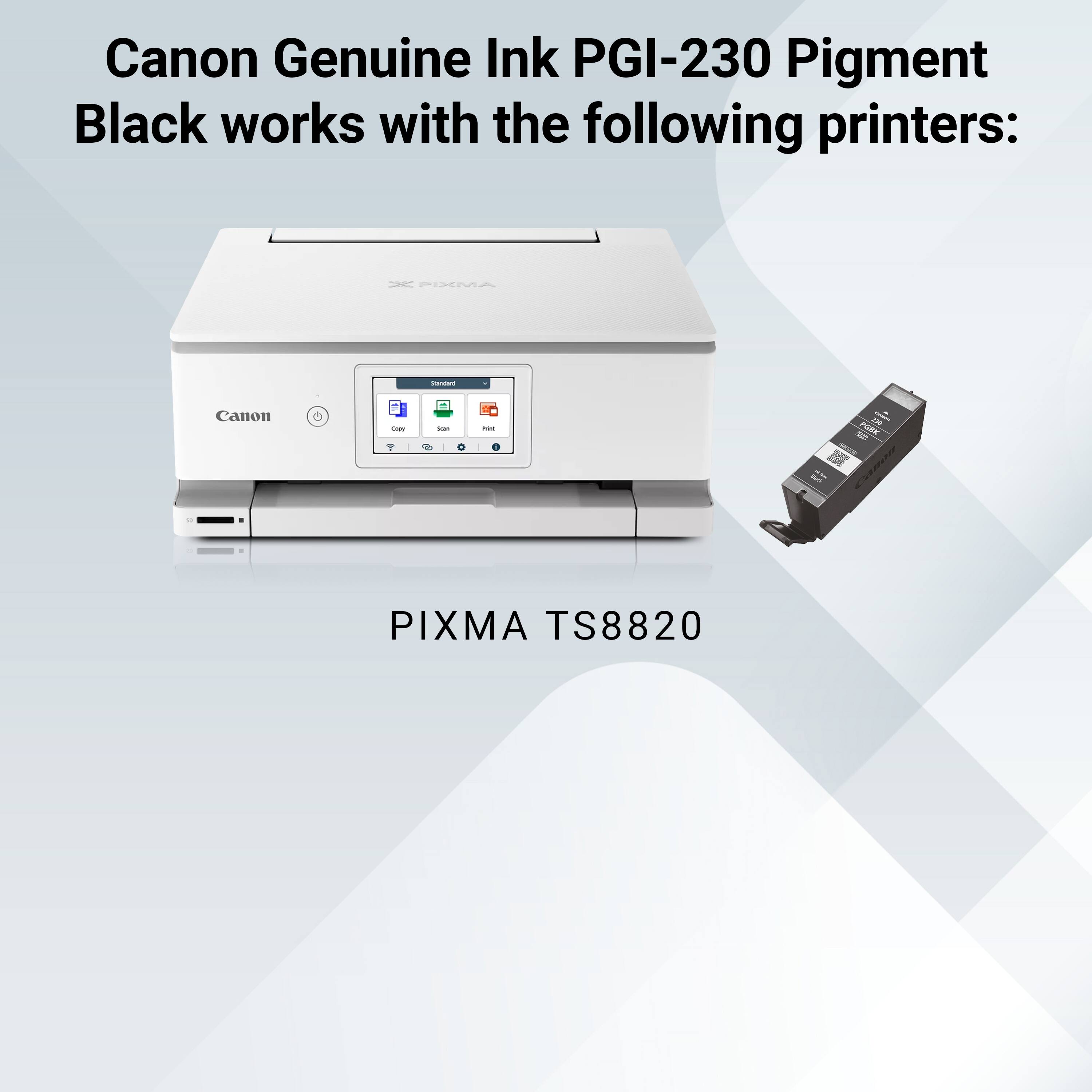 Canon Genuine Ink PGI-230 Pigment Black works with the following printers:

- PIXMA
- Canon
- Copy
- Landed can
- Hvt

PIXMA TS8820