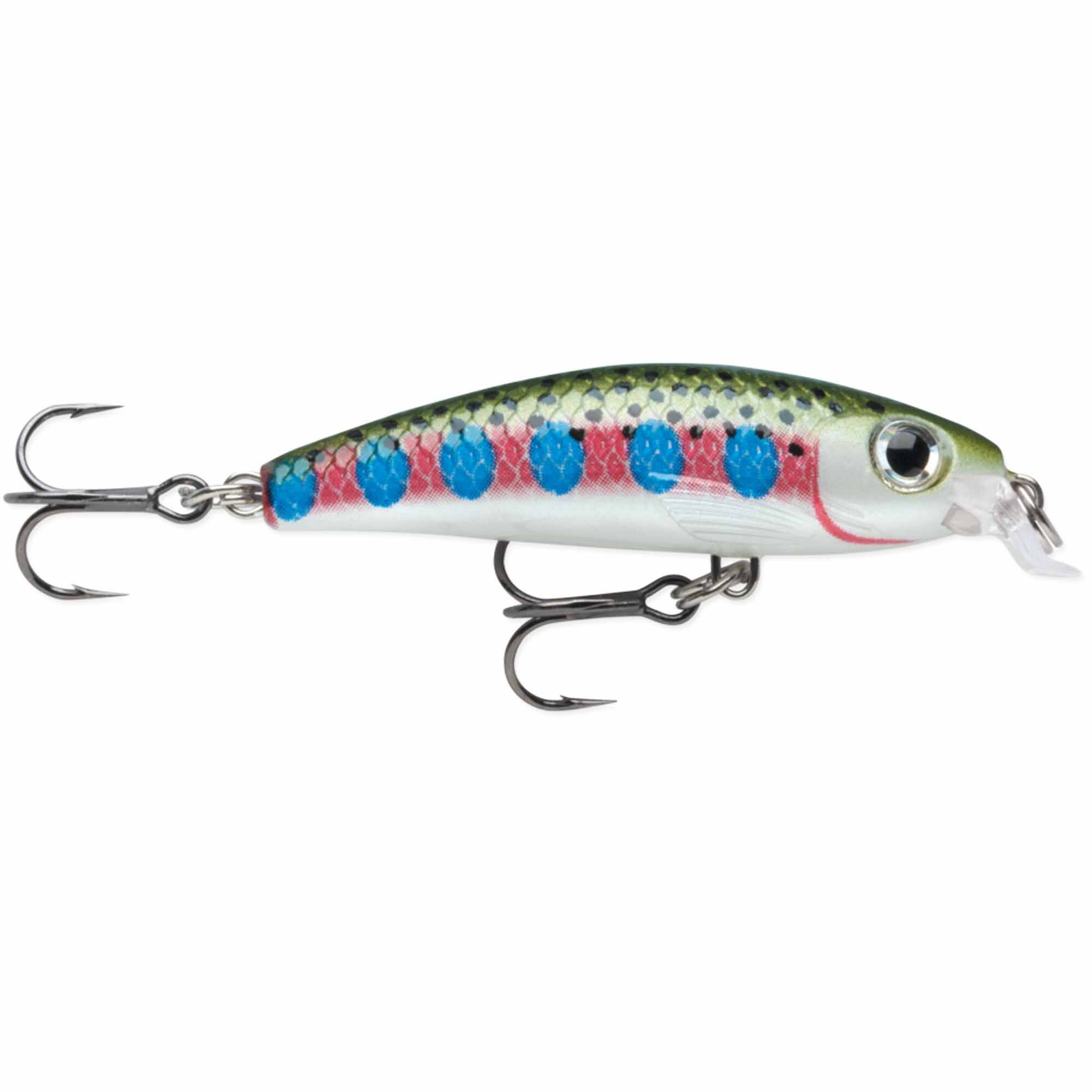 Rainbow Trout