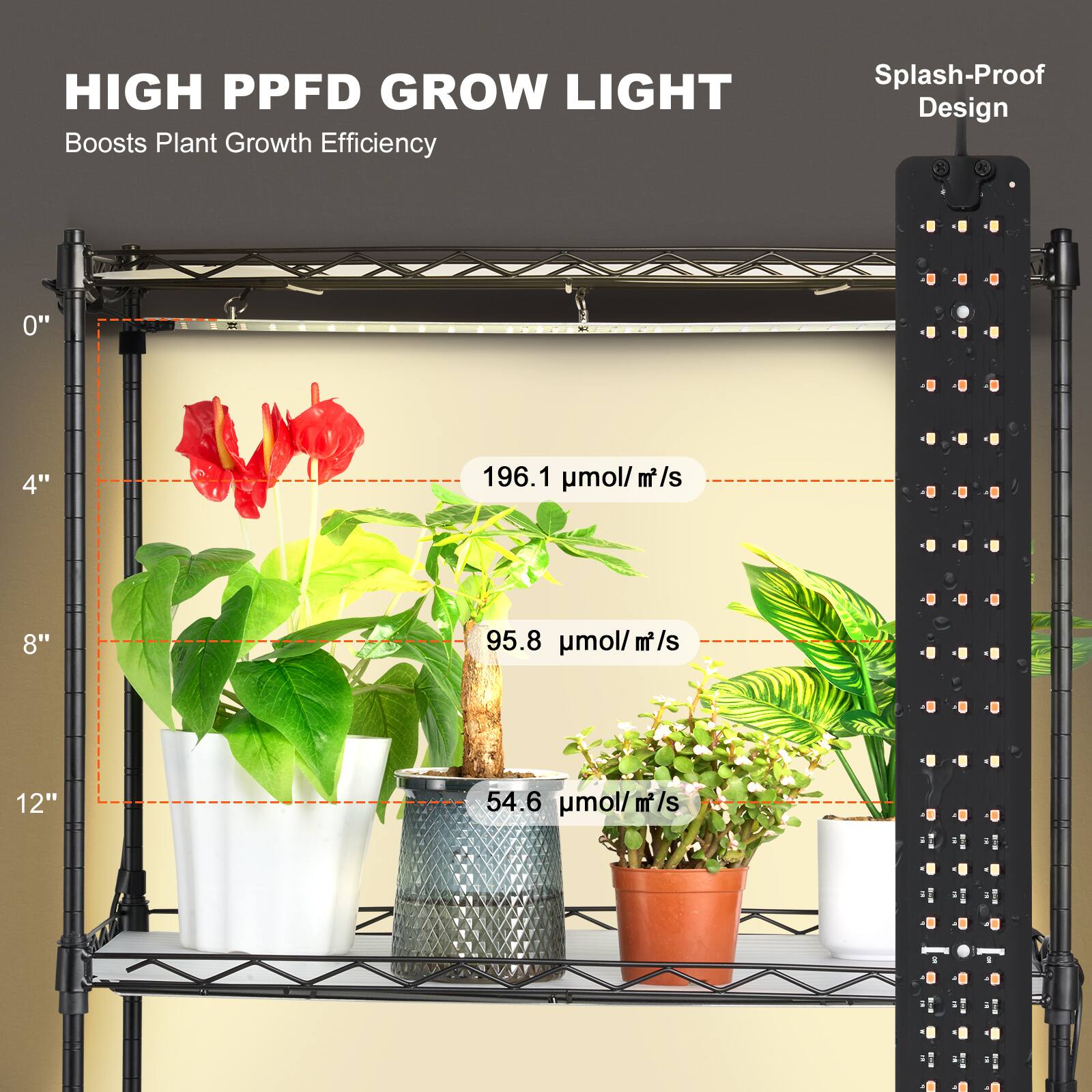 HIGH PPFD GROW LIGHT Boosts Plant Growth Efficiency Splash-Proof Design

x "0" 196.1 umol/ m/s
x "4" 95.8 umol/ m/s
x "8" 54.6 umol/ m/s