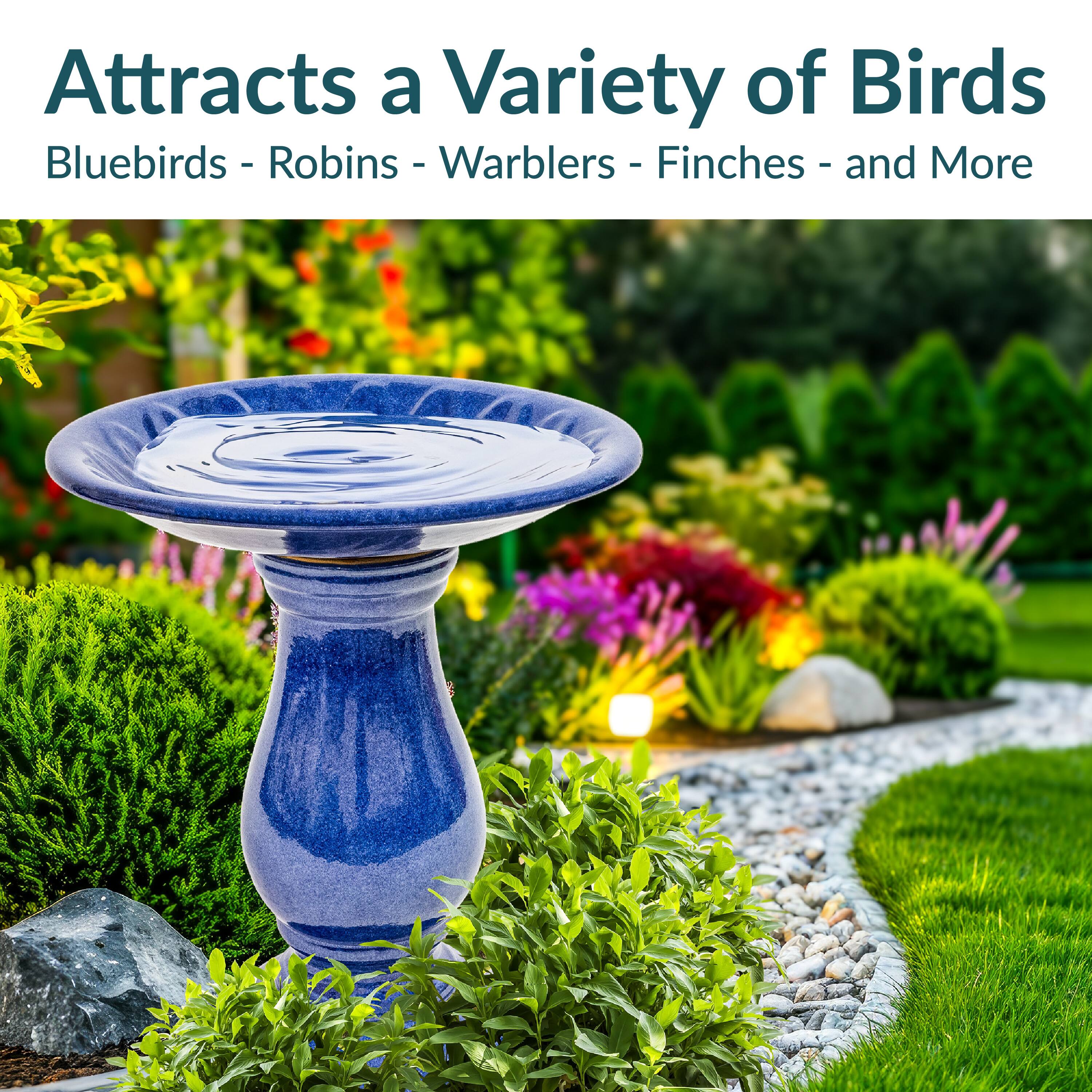 Attracts a Variety of Birds  
Bluebirds - Robins - Warblers - Finches - and More