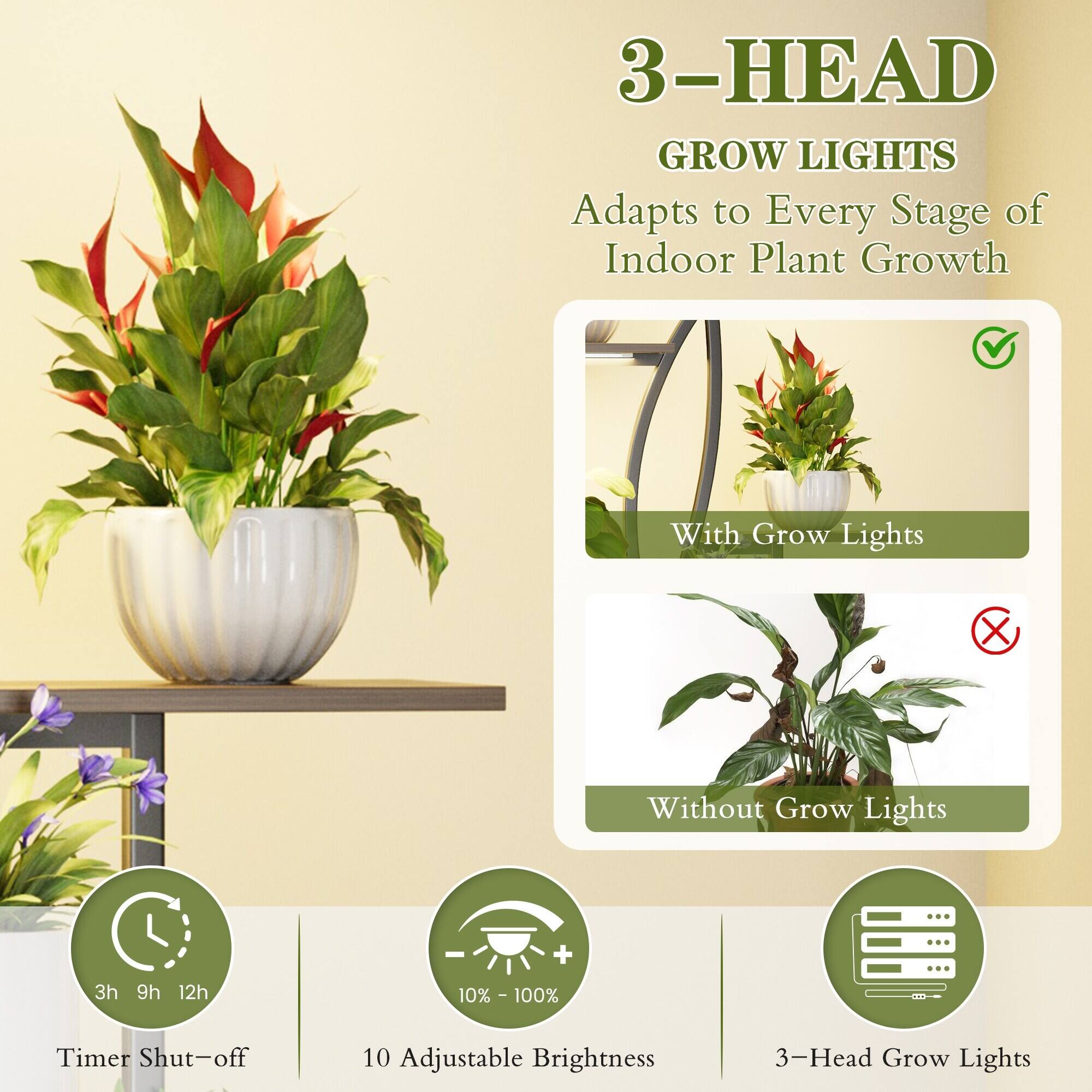 3-Head Grow Lights  
Adapts to Every Stage of Indoor Plant Growth  

With Grow Lights  
Without Grow Lights  

Timer Shut-off: 3h, 9h, 12h  

10 Adjustable Brightness: 10% - 100%  

3-Head Grow Lights