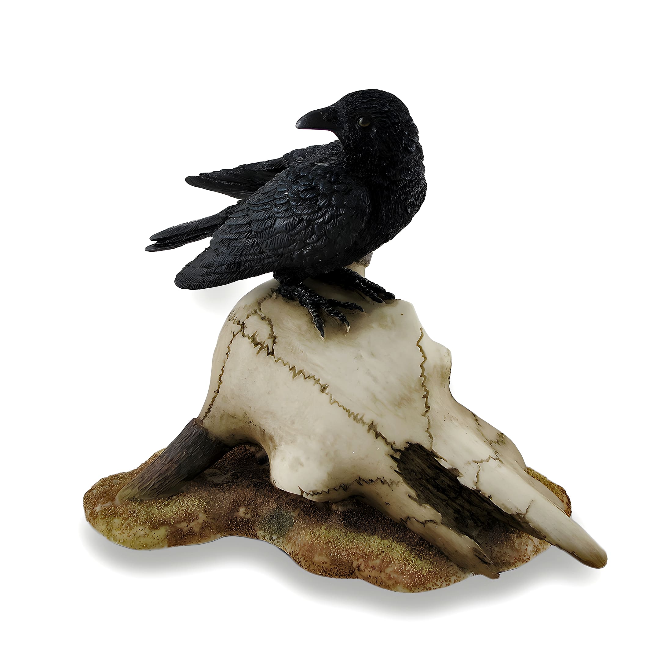 Veronese Design - Crow Perched on Longhorn Skull Sculptural Figurine - Black