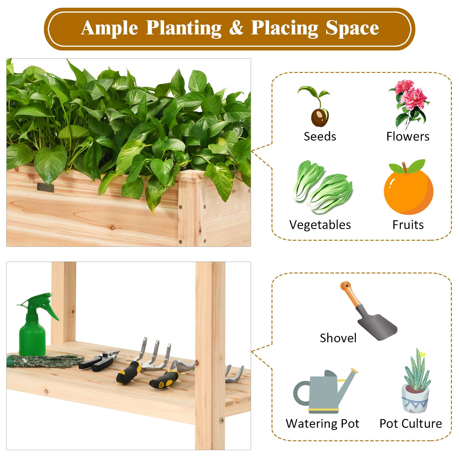 Ample Planting & Placing Space

- Seeds
- Flowers
- Vegetables
- Fruits
- Shovel
- Watering Pot
- Pot Culture