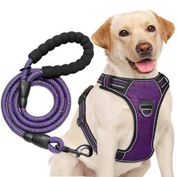 Purple Harness+Leash-Medium
