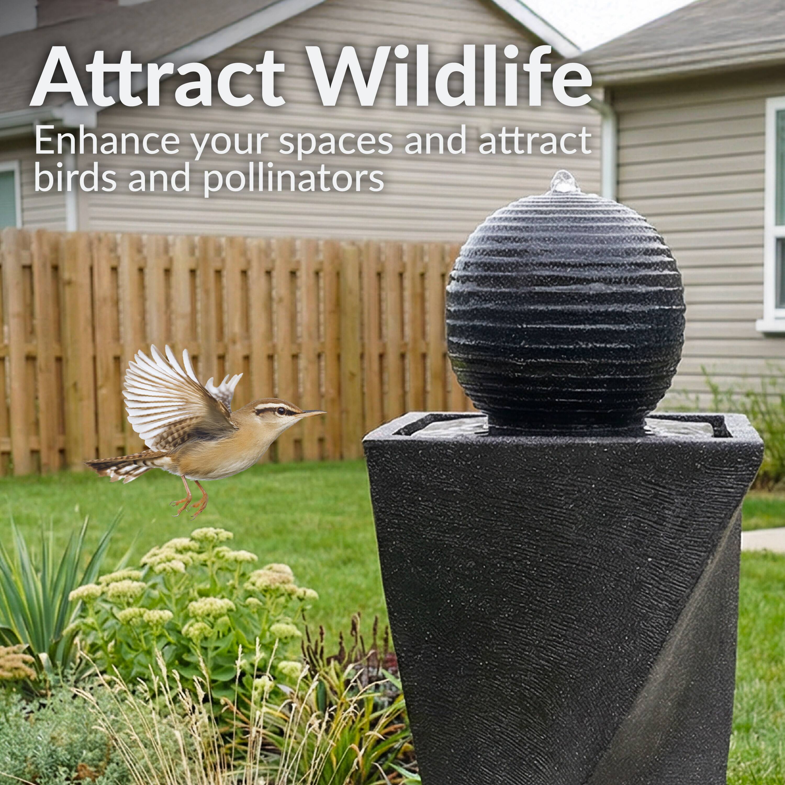 Attract Wildlife  
Enhance your spaces and attract birds and pollinators