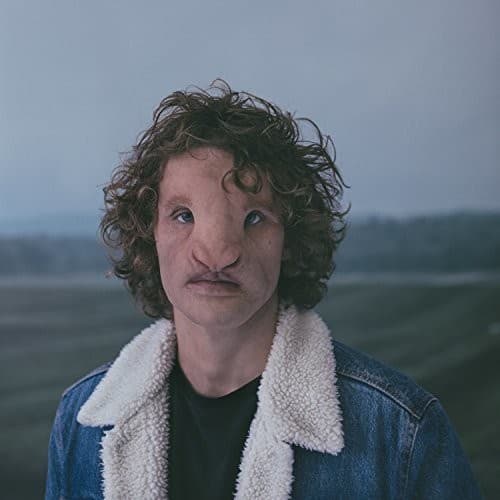 Brach,Philippe - Le Silence Des Troupeaux  - COMPACT DISCS