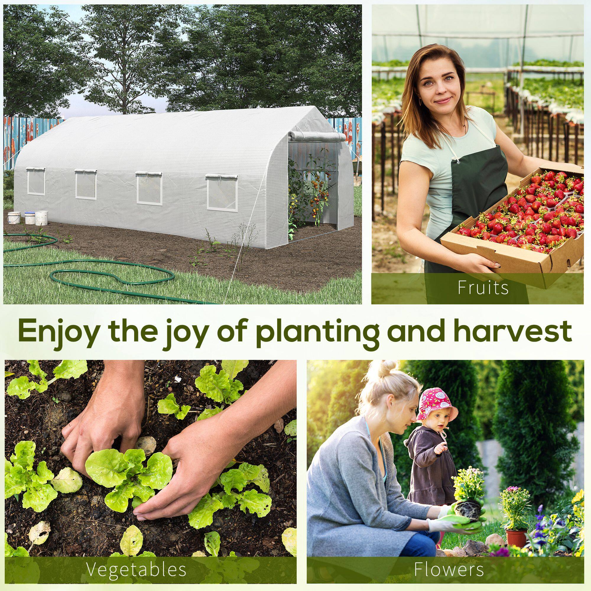 Enjoy the joy of planting and harvest

Fruits

Vegetables

Flowers