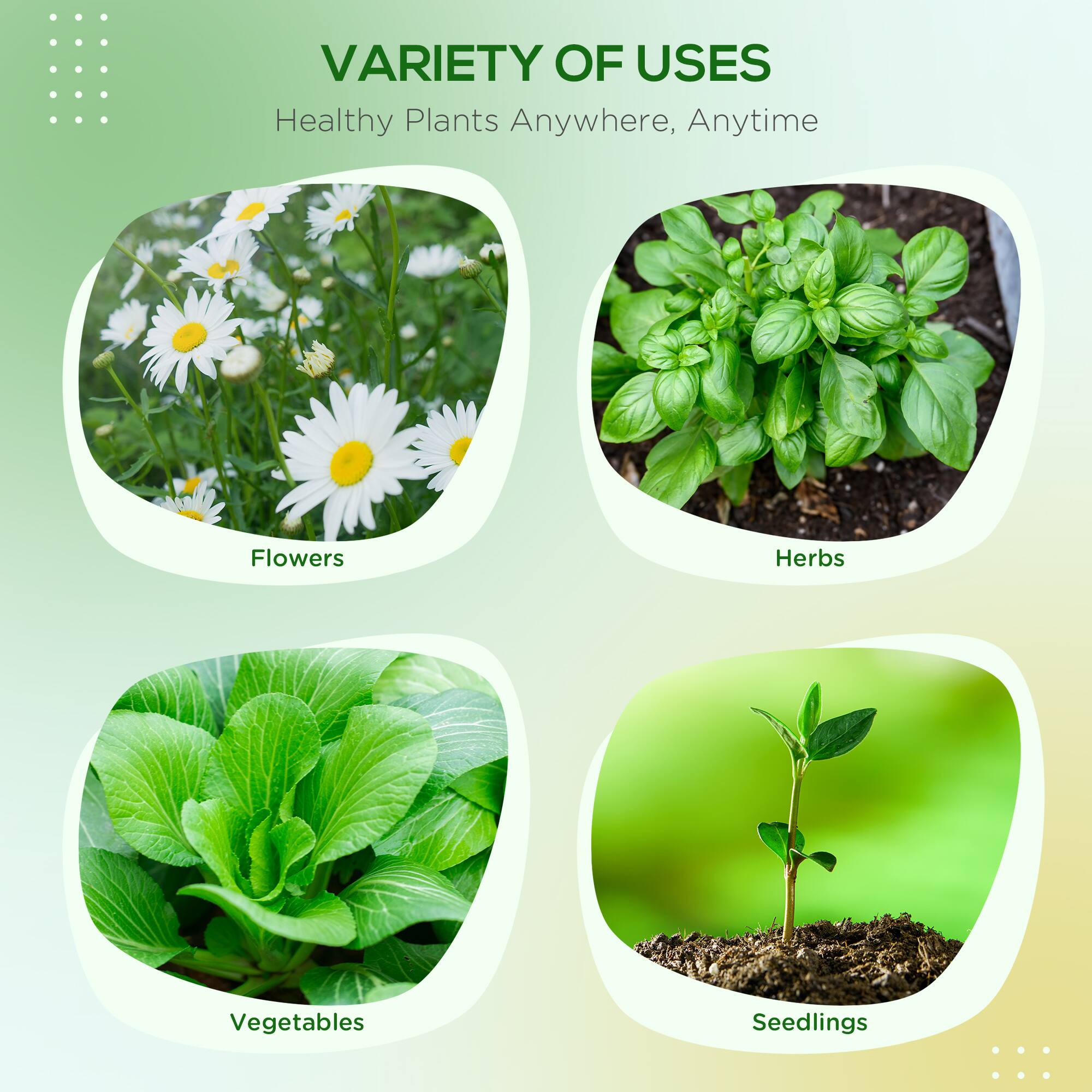 VARIETY OF USES
Healthy Plants Anywhere, Anytime
Flowers
Herbs
Vegetables
Seedlings