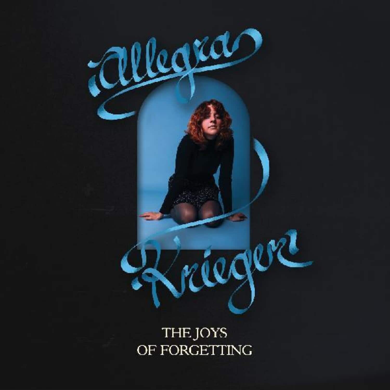 Allegra Krieger - Joys Of Forgetting   - VINYL LP price history on PriceWatchPro