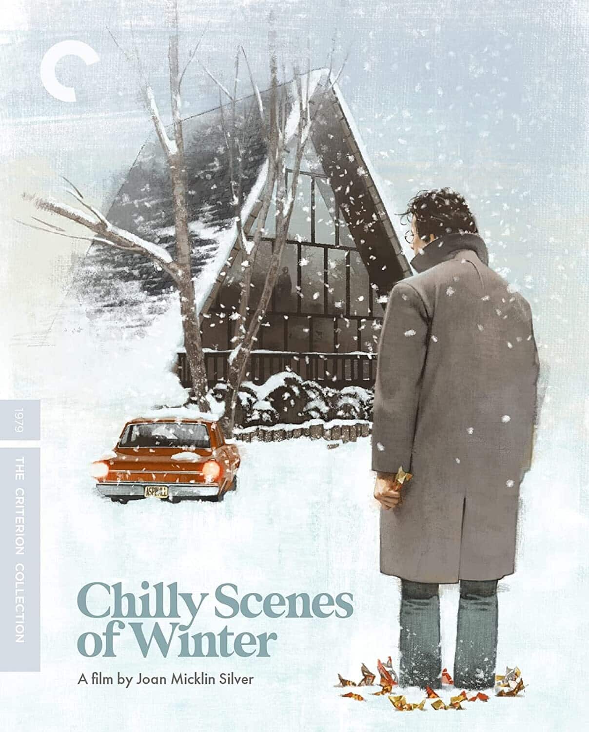 Chilly Scenes of Winter (Criterion Collection)  - BLU-RAY